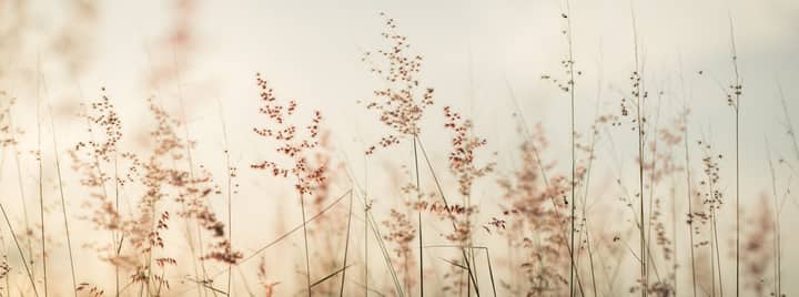 Location gallery